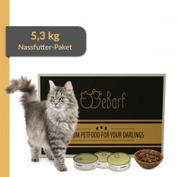 Nassfutter-Paket für Katzen